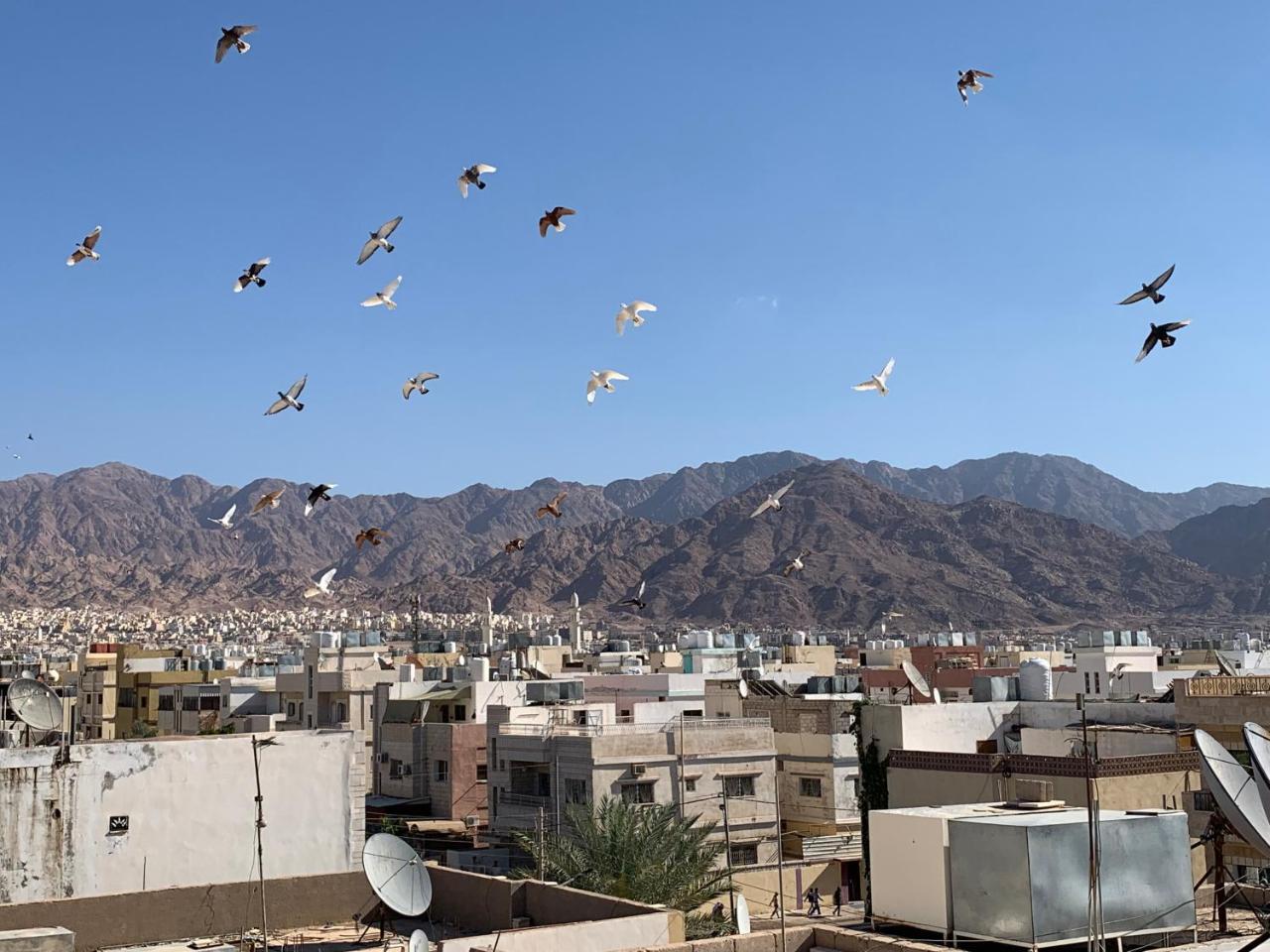 Room 17 Youth Hostel Aqaba Exterior photo